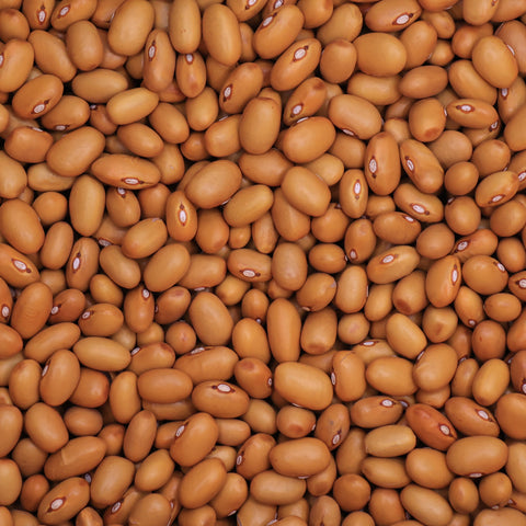 Close-up van bruine bonen – ovale bonen met gladde lichtbruine schil