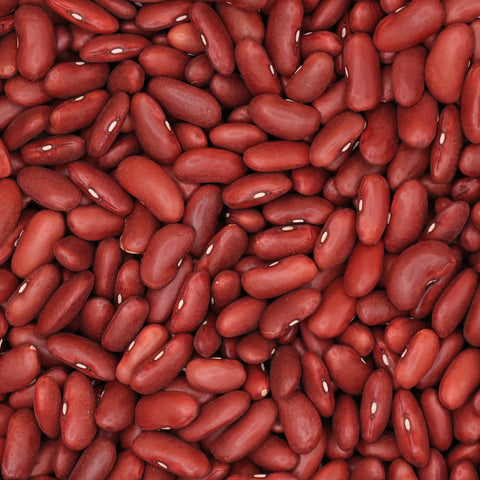 Close-up van gedroogde rode bonen – glanzende rode bonen met ovale vorm