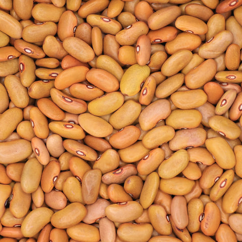 Close-up van Friese woudbonen – lichtbruine bonen met zachte glans