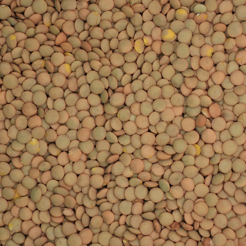 Close-up van groene linzen – kleine ronde linzen met gevlekte schil