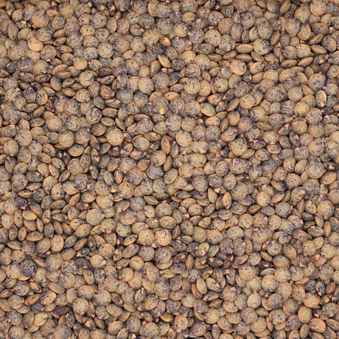 Close-up van Franse berglinzen – kleine donkergroene linzen met gespikkeld patroon